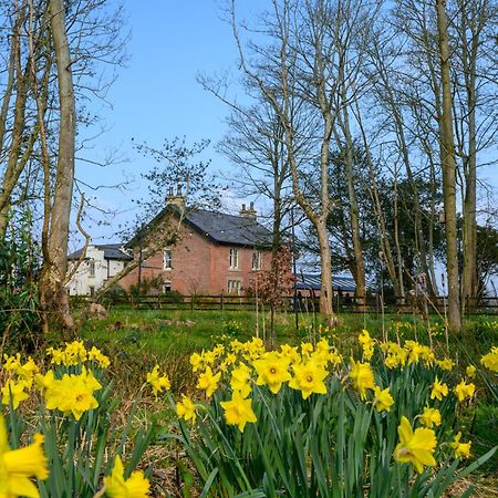 The Bothy Cottage リザム・セント・アンズ エクステリア 写真