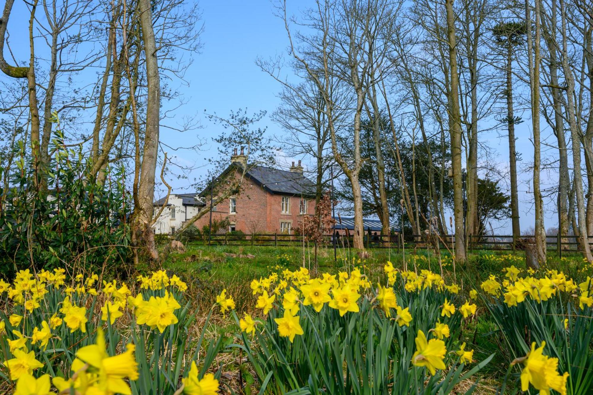 The Bothy Cottage リザム・セント・アンズ エクステリア 写真